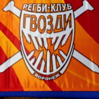 изготовить принт на флагах в Воронеже