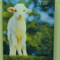 печать календарей 2015 год Овцы